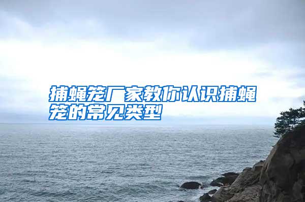 捕蠅籠廠家教你認(rèn)識捕蠅籠的常見類型