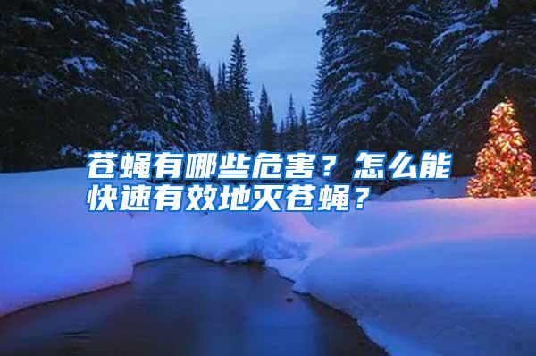 蒼蠅有哪些危害？怎么能快速有效地滅蒼蠅？