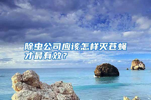 除蟲公司應(yīng)該怎樣滅蒼蠅才最有效？