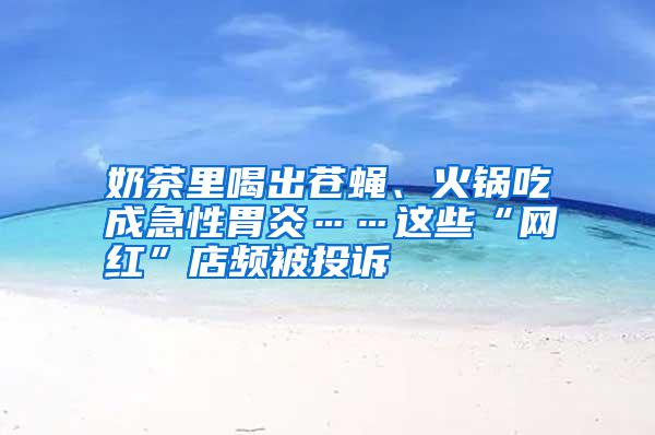 奶茶里喝出蒼蠅、火鍋吃成急性胃炎……這些“網(wǎng)紅”店頻被投訴