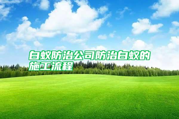 白蟻防治公司防治白蟻的施工流程