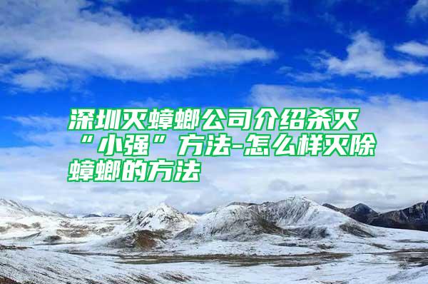 深圳滅蟑螂公司介紹殺滅“小強”方法-怎么樣滅除蟑螂的方法