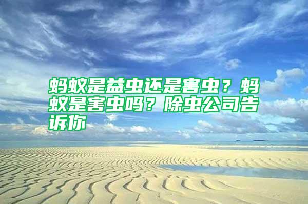 螞蟻是益蟲(chóng)還是害蟲(chóng)？螞蟻是害蟲(chóng)嗎？除蟲(chóng)公司告訴你