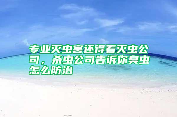 專業(yè)滅蟲害還得看滅蟲公司，殺蟲公司告訴你臭蟲怎么防治