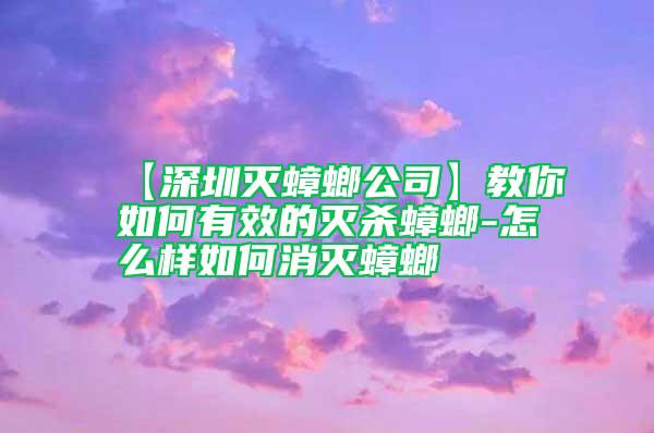 【深圳滅蟑螂公司】教你如何有效的滅殺蟑螂-怎么樣如何消滅蟑螂