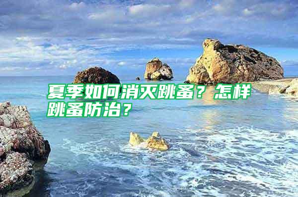 夏季如何消滅跳蚤？怎樣跳蚤防治？