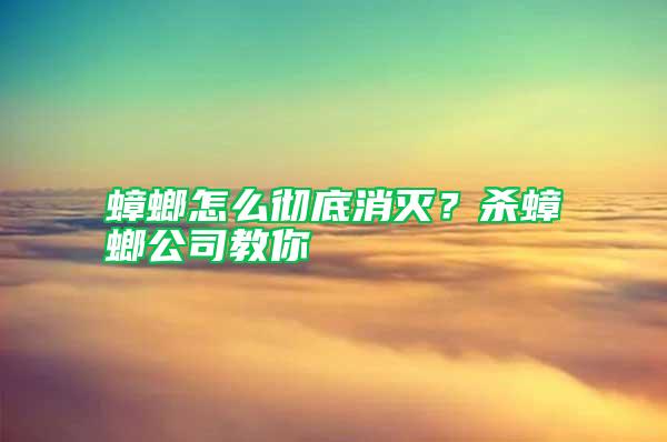 蟑螂怎么徹底消滅？殺蟑螂公司教你