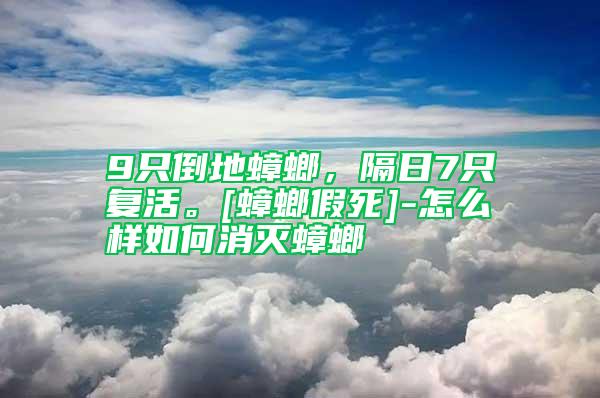 9只倒地蟑螂，隔日7只復(fù)活。[蟑螂假死]-怎么樣如何消滅蟑螂