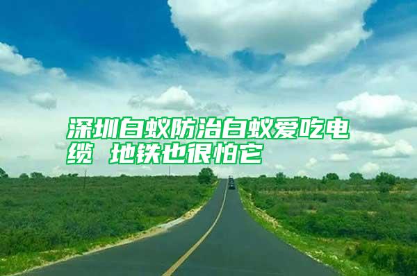 深圳白蟻防治白蟻愛(ài)吃電纜 地鐵也很怕它