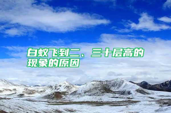 白蟻飛到二、三十層高的現(xiàn)象的原因