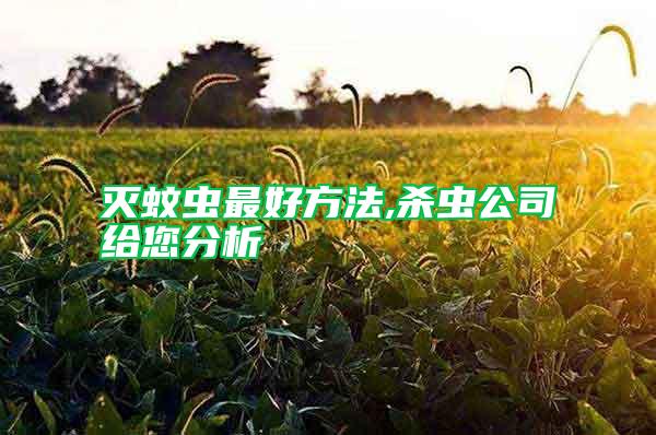 滅蚊蟲最好方法,殺蟲公司給您分析