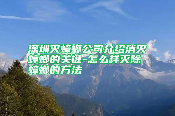 深圳滅蟑螂公司介紹消滅蟑螂的關(guān)鍵-怎么樣滅除蟑螂的方法