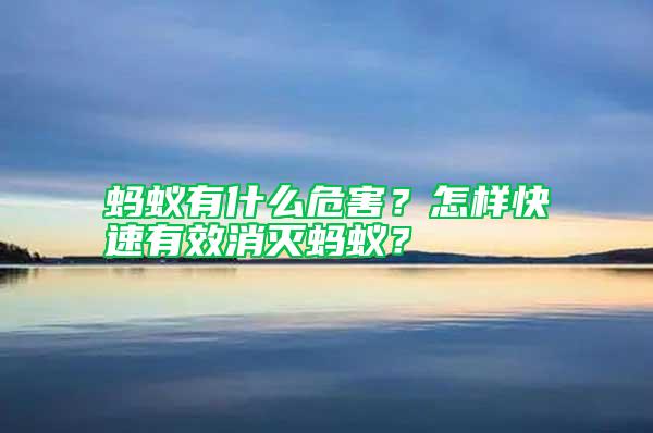 螞蟻有什么危害？怎樣快速有效消滅螞蟻？