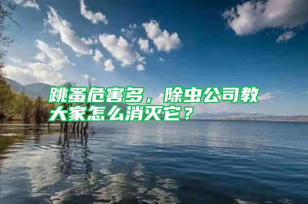 跳蚤危害多，除蟲公司教大家怎么消滅它？