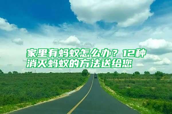 家里有螞蟻怎么辦？12種消滅螞蟻的方法送給您