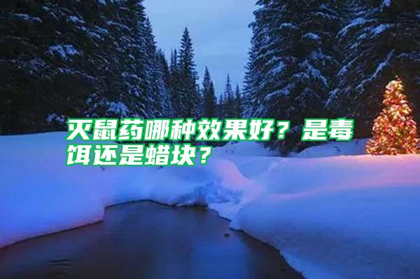 滅鼠藥哪種效果好？是毒餌還是蠟塊？