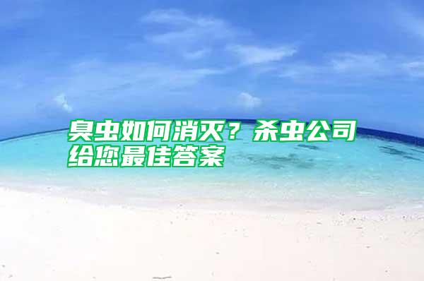 臭蟲如何消滅？殺蟲公司給您最佳答案