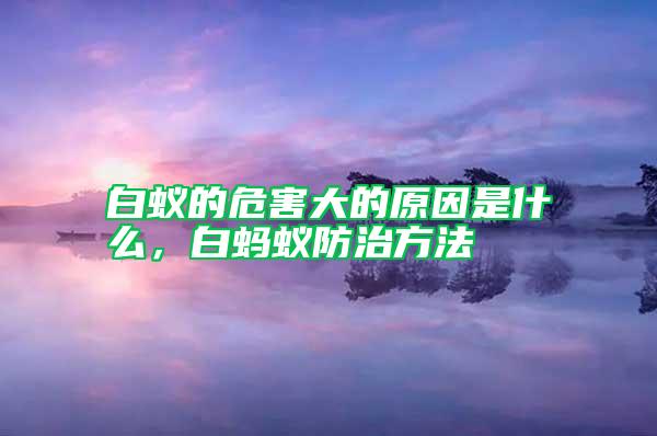 白蟻的危害大的原因是什么，白螞蟻防治方法