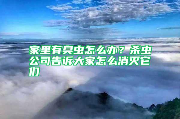 家里有臭蟲怎么辦？殺蟲公司告訴大家怎么消滅它們