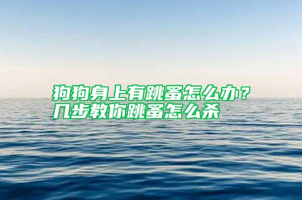 狗狗身上有跳蚤怎么辦？幾步教你跳蚤怎么殺