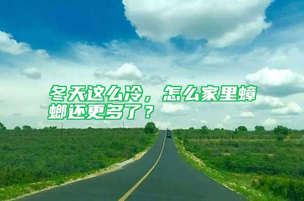 冬天這么冷，怎么家里蟑螂還更多了？