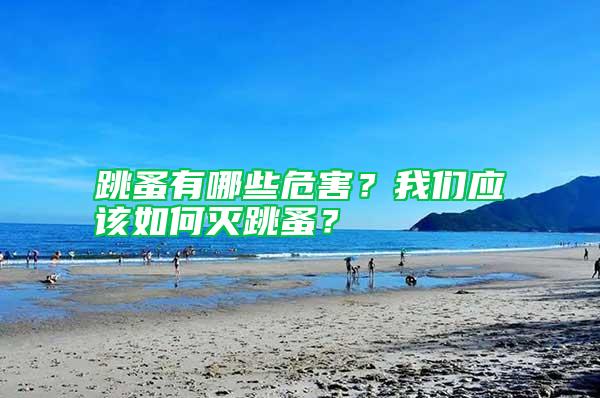 跳蚤有哪些危害？我們應(yīng)該如何滅跳蚤？