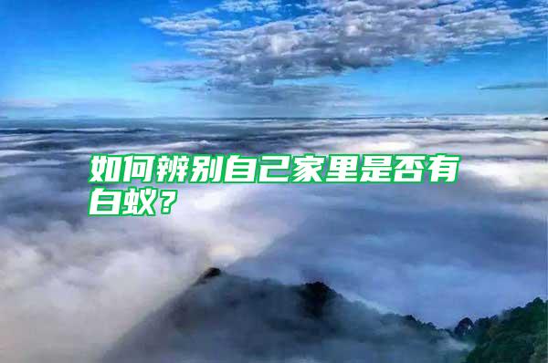 如何辨別自己家里是否有白蟻？