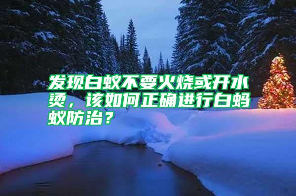 發(fā)現(xiàn)白蟻不要火燒或開水燙，該如何正確進行白螞蟻防治？