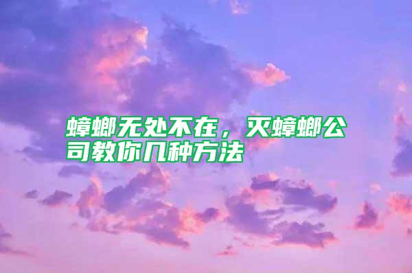 蟑螂無處不在，滅蟑螂公司教你幾種方法