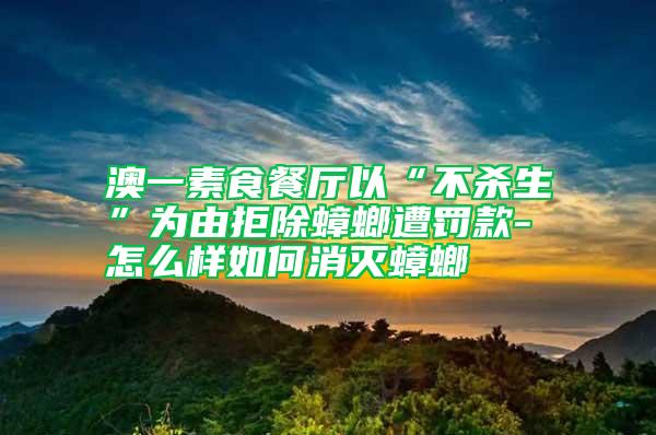 澳一素食餐廳以“不殺生”為由拒除蟑螂遭罰款-怎么樣如何消滅蟑螂