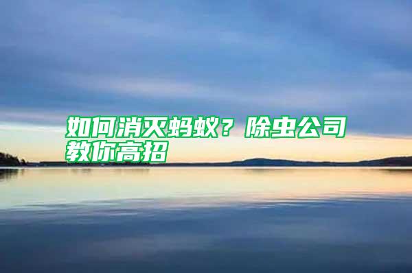 如何消滅螞蟻？除蟲公司教你高招