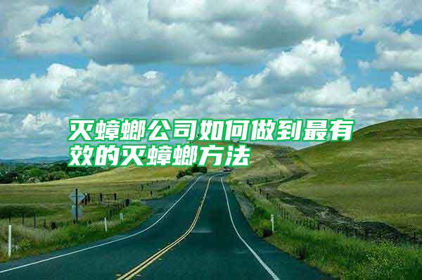 滅蟑螂公司如何做到最有效的滅蟑螂方法