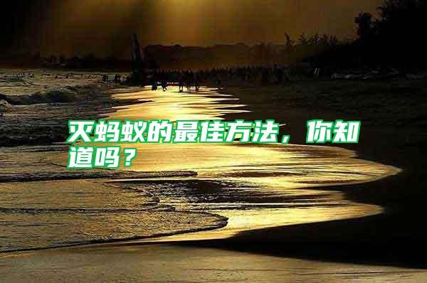 滅螞蟻的最佳方法，你知道嗎？