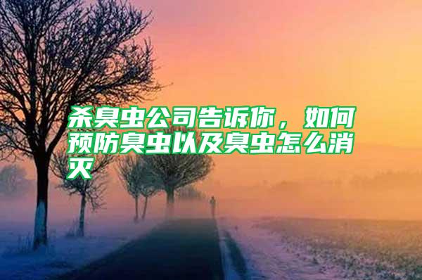 殺臭蟲(chóng)公司告訴你，如何預(yù)防臭蟲(chóng)以及臭蟲(chóng)怎么消滅