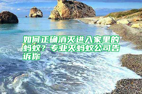 如何正確消滅進(jìn)入家里的螞蟻？專業(yè)滅螞蟻公司告訴你