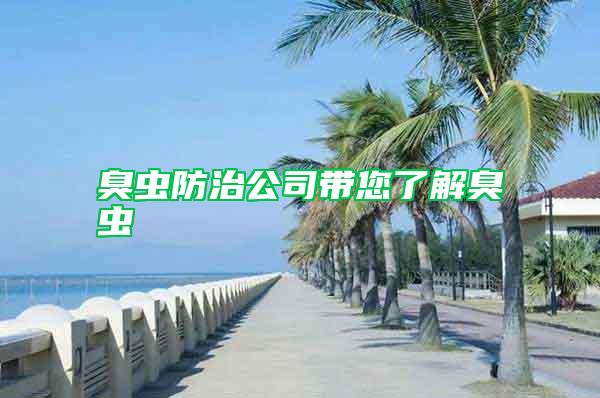 臭蟲防治公司帶您了解臭蟲