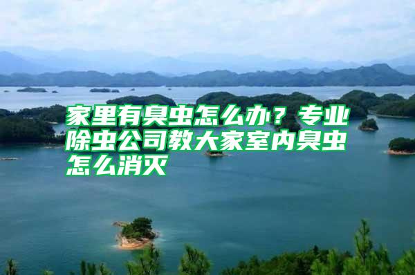 家里有臭蟲怎么辦？專業(yè)除蟲公司教大家室內臭蟲怎么消滅