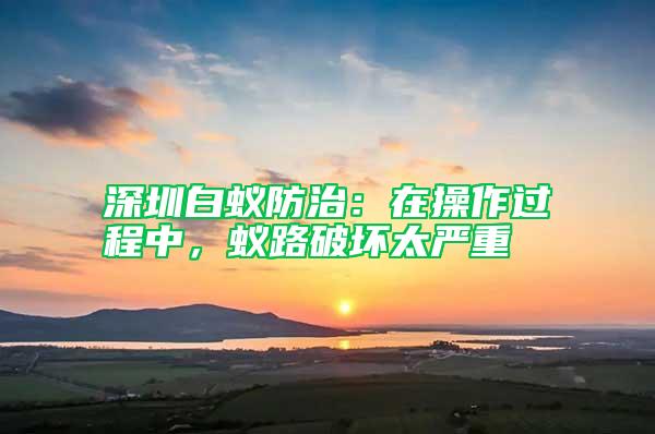 深圳白蟻防治：在操作過程中，蟻路破壞太嚴重