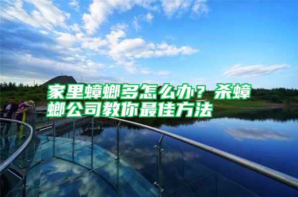 家里蟑螂多怎么辦？殺蟑螂公司教你最佳方法