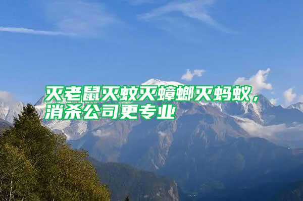 滅老鼠滅蚊滅蟑螂滅螞蟻，消殺公司更專業(yè)