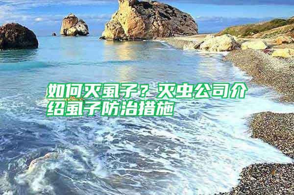 如何滅虱子？滅蟲公司介紹虱子防治措施