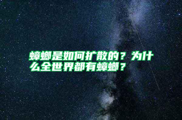 蟑螂是如何擴(kuò)散的？為什么全世界都有蟑螂？