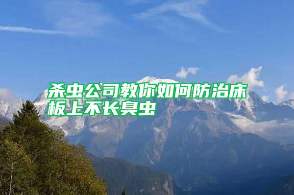 殺蟲公司教你如何防治床板上不長臭蟲