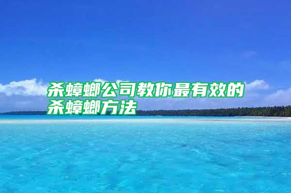 殺蟑螂公司教你最有效的殺蟑螂方法