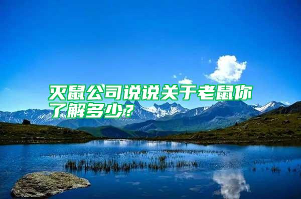 滅鼠公司說說關于老鼠你了解多少？