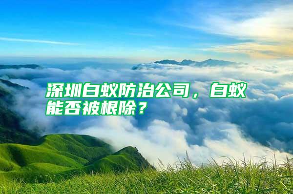 深圳白蟻防治公司，白蟻能否被根除？