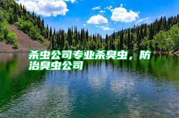 殺蟲公司專業(yè)殺臭蟲，防治臭蟲公司