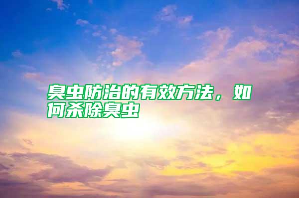 臭蟲(chóng)防治的有效方法，如何殺除臭蟲(chóng)