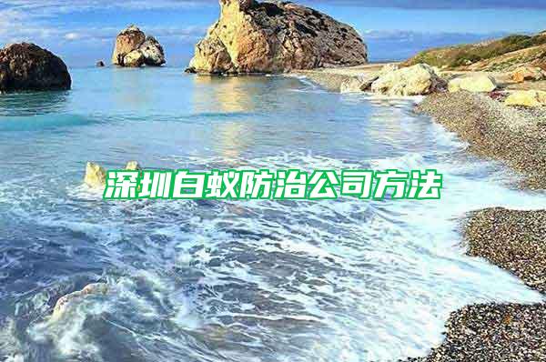 深圳白蟻防治公司方法