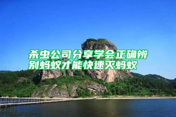 殺蟲(chóng)公司分享學(xué)會(huì)正確辨別螞蟻才能快速滅螞蟻